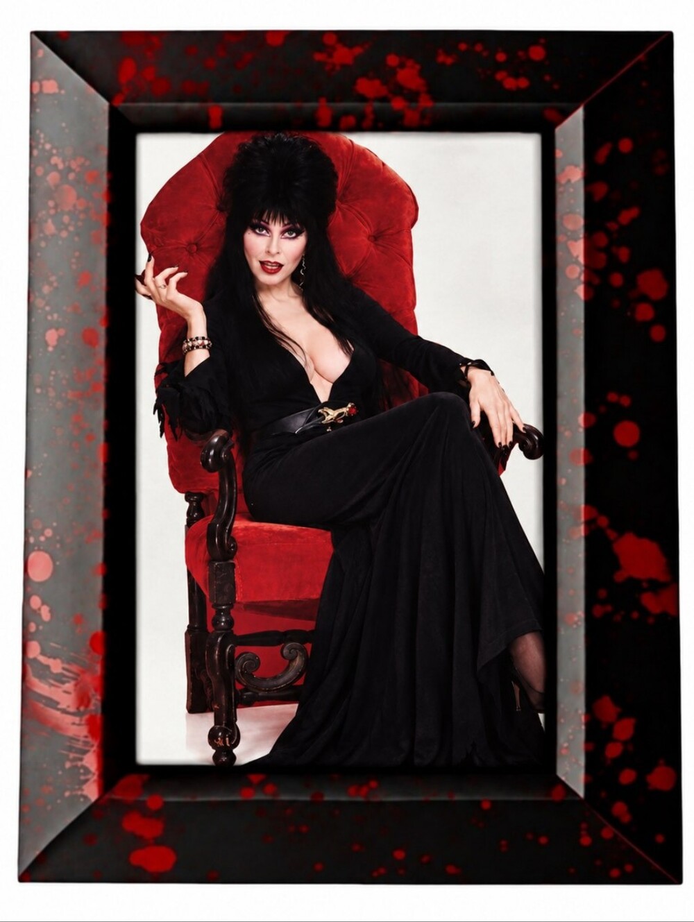 Elvira Framed Horror Queen Cult Classic Gothic Punk Rock Biker Goth Vintage 80s